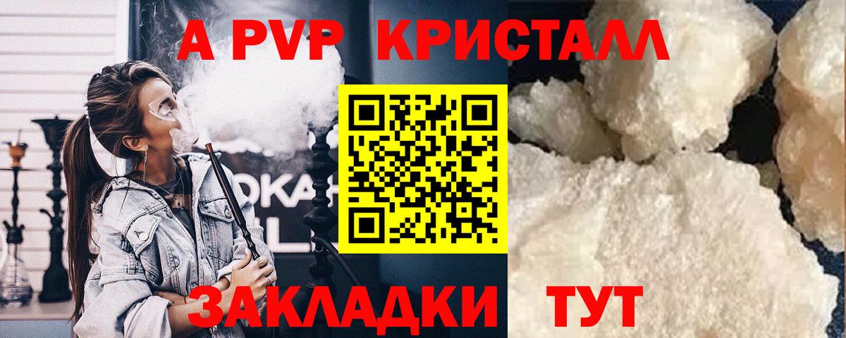 Alfa_PVP VHQ Хасавюрт
