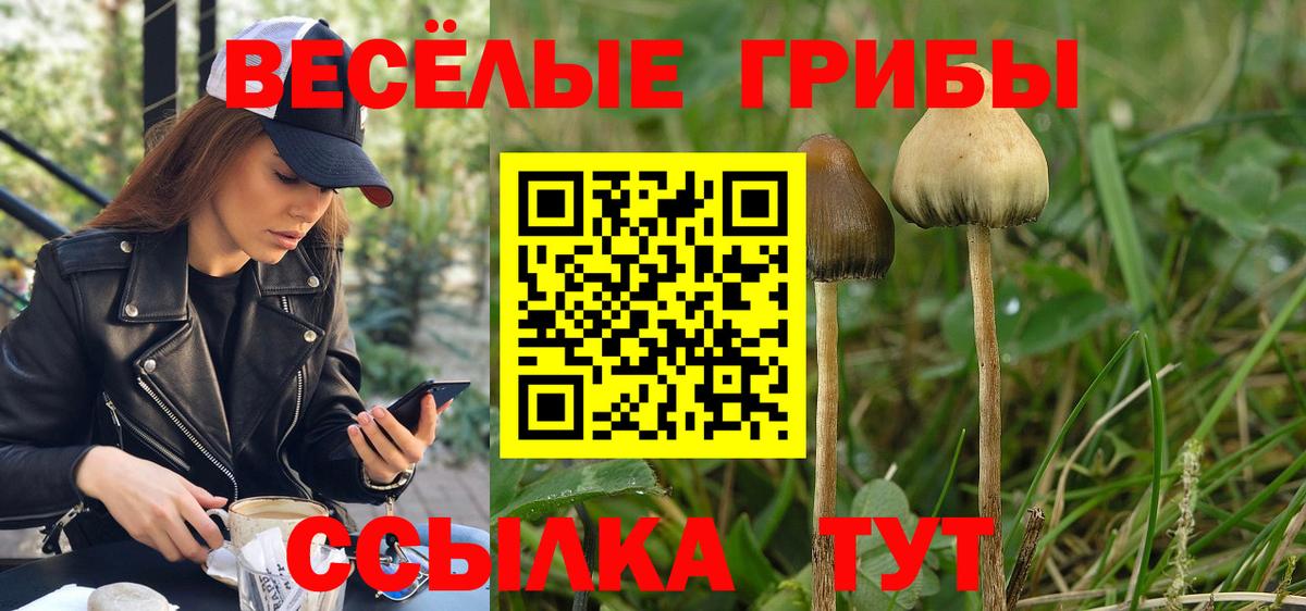 Псилоцибиновые грибы GOLDEN TEACHER Хасавюрт