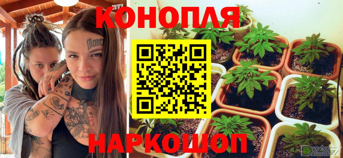 Марихуана Ganja  МАРИХУАНА гибрид  Бошки марихуана тримм  Хасавюрт  МАРИХУАНА индика  Вход с VPN 